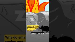 Why do small animals evolve slowly? #science #nature #animals #wildlife #biology #animation #fyp