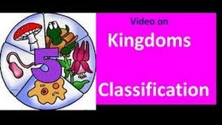 Classification of Living things for Kids