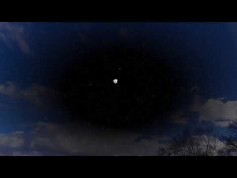 Floating Lotus - Distant Drone