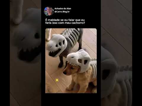 É maldade se eu falar que eu faria isso com meu cachorro? #shorts #cachorro