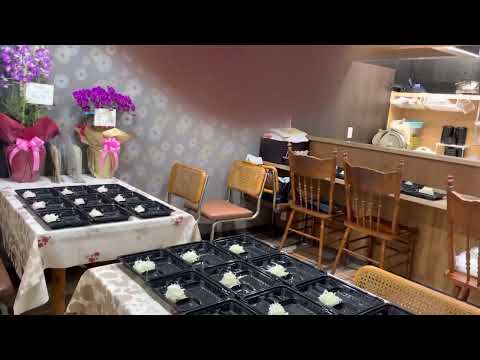 Katsuyoshi, un restaurante de chuletas de cerdo de larga trayectoria, abrió sus puertas en un mercado de la ciudad de Oita, prefectura de Oita. 🐷🐽😊