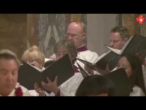 download lagu mp3 mp4 Saint Johns Cathedral Los Angeles, download lagu Saint Johns Cathedral Los Angeles gratis, unduh video klip Saint Johns Cathedral Los Angeles