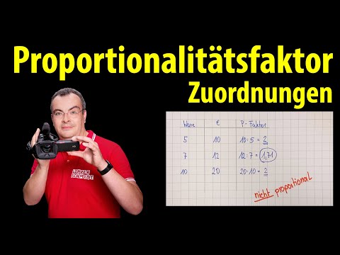 Proportionality factor - assignments explained simply |  Lehrerschmidt