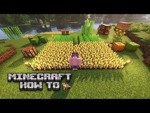 Ultimate Crop Farming Guide in Minecraft!