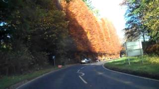 preview picture of video 'November Road To Meikleour Beech Hedge Scotland'