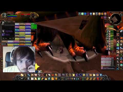 BWL raid with The Fellowship. Holy Paladin POV