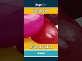 jellybean - frijol de jalea video thumbnail