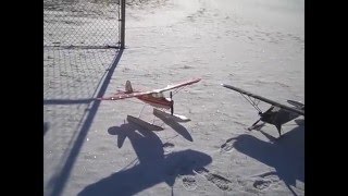 Red Cub in the Snow!!