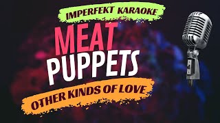 Meat Puppets karaoke - Other Kinds Of Love