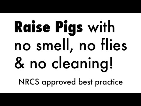 , title : 'No-smell, No-flies, No-cleaning Pigs & Chickens'