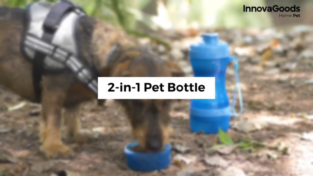 Du viename butelis su vandens ir maisto skyriais gyvūnams Pettap InnovaGoods Home Pet