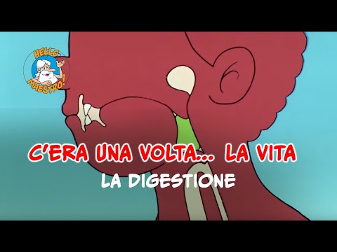 Siamo fatti così... la vita 🌱- La digestione