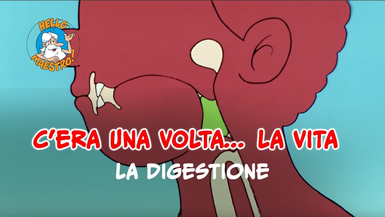 Siamo fatti così... la vita 🌱- La digestione