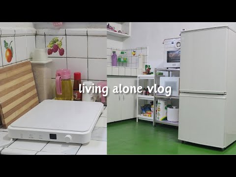 Living Alone Vlog | moving into my 1 bedroom apartment, living alone again, organize and settling in