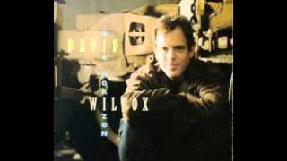 David Wilcox &quot;What the Lonely Is For&quot;