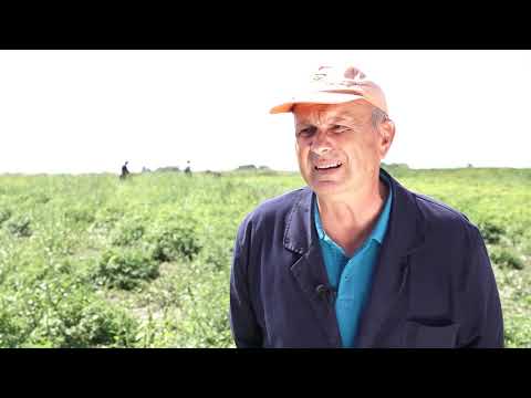 Agro karavan ep.192 - Apatin - 05.09.2021.