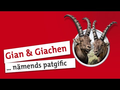 Gian und Giachen: "Patgific"