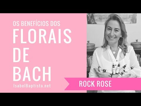 download lagu mp3 mp4 Rock Rose Floral De Bach, download lagu Rock Rose Floral De Bach gratis, unduh video klip Rock Rose Floral De Bach