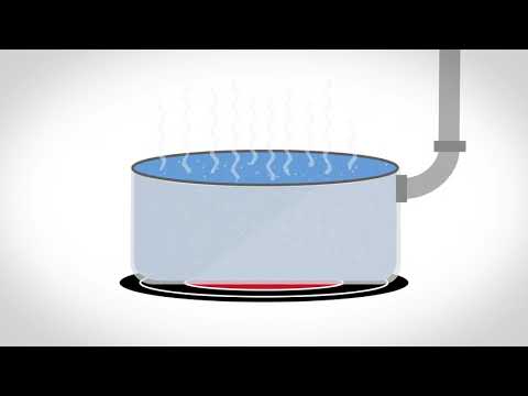 How Do You Get Sugar From Sugar Cane?