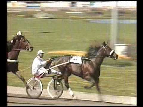 Elitloppet 1987 - The Elimination Heats
