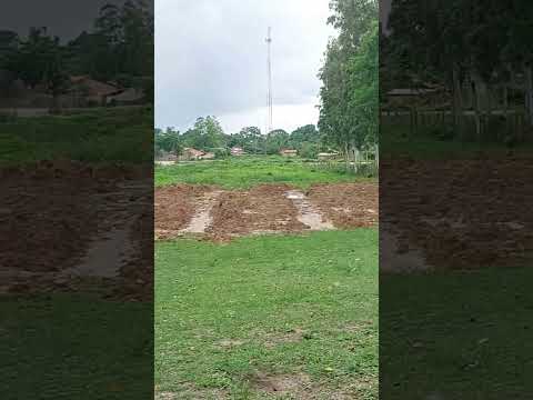 ANIMAIS DO SITIO #maranhão #paisagem #diadiarural #interior #nordeste #shortsfeed #palmeirândia