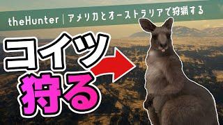 【theHunter】カンガルーにしばかれつつ狩りをする【Call of the Wild｜ゆっくり実況】