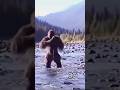 Bigfoot Caught On Tape 2003 VHS Footage
