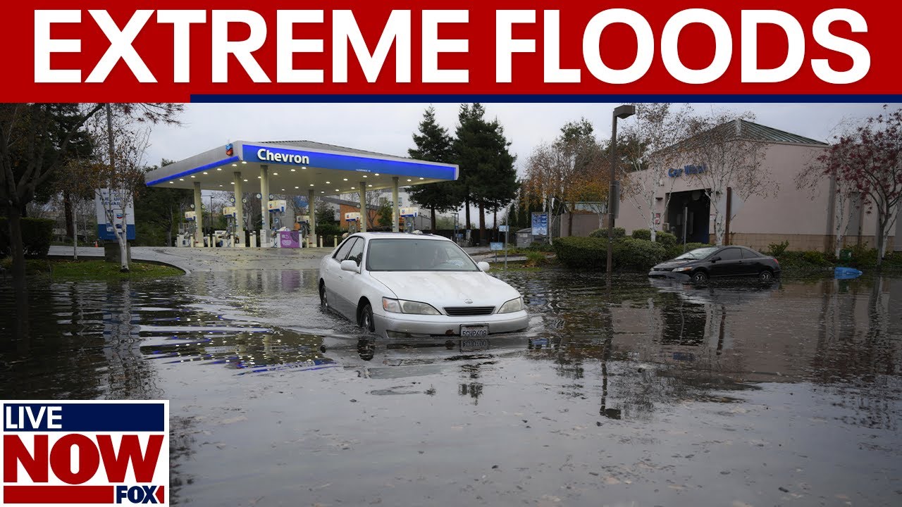 Flash flood warning: LA hit with powerful storms