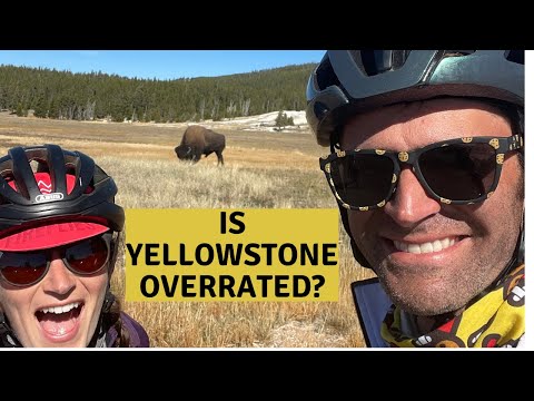 The Locals Warned Us: Yellowstone National Park Sucks for Cycling