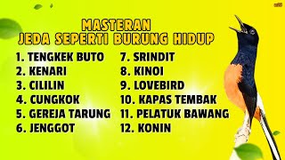Download lagu 🔴 MASTERAN MURAI BATU GACOR TENGKEK, KENARI, CUNGKOK, KAPAS TEMBAK, GEREJA TARUNG, JENGGOT || 838 mp3