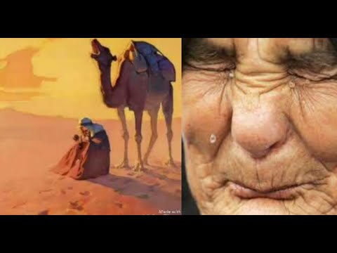 meshaalnet’s Video 130355787364 oMNjeoDCkYc