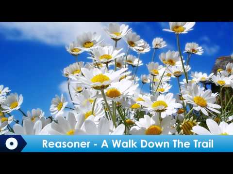 Reasoner - A Walk Down The Trail
