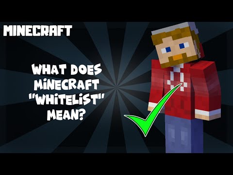 Minecraft | What Does WHITELIST Mean? 1.18.1