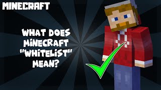 Minecraft | What Does WHITELIST Mean 1.18.1