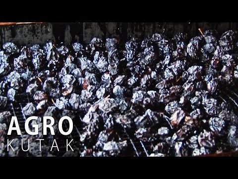 Agro Kutak 2 - Šljive