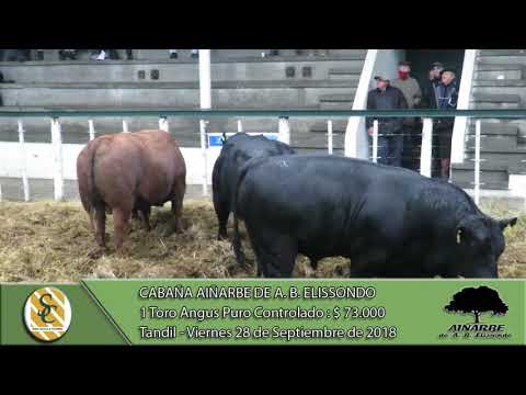 28-09-18 Venta de Toros Angus P.P. y Generales - Cabaña Aiñarbe de A. B. Elissondo - Tandil