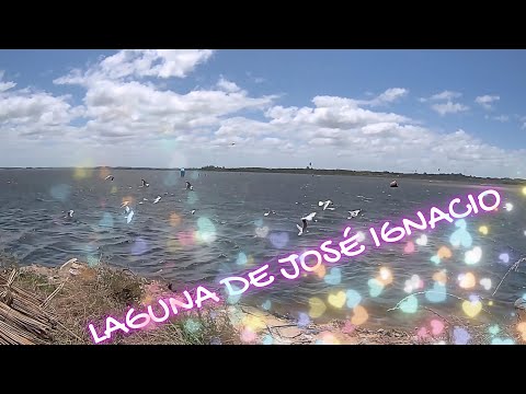 LAGUNA DE JOSE IGNACIO