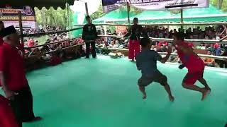 Download lagu Laga sadis Rembol 76 lawan tumbang mp3 Download lagu Laga sadis Rembol 76 lawan tumbang mp3