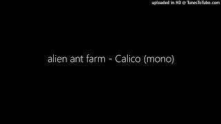 alien ant farm - Calico (mono)