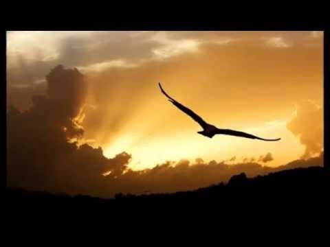 Nadia Siclari - Aquila bella