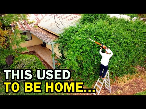 This FORGOTTEN Home Was a Living NIGHTMARE! – I Gave It LIFE Again