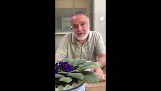 60 שניות על המסלקה הפנסיונית, הדרך החדשה לעשות סדר בחסכונות