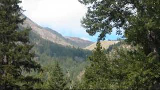 Last Lonely Eagle 2008