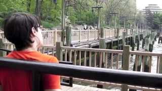 &quot;Que Sera, Sera&quot;. Iván Caride