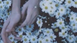 21 ST CENTURY MACHINE sub español | CATIE TURNER.