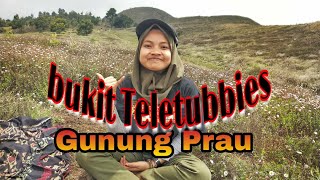 preview picture of video 'BUKIT TELETUBBIES - Gunung Prau PENDAKIAN via kalilembu DIENG PLATEAU'