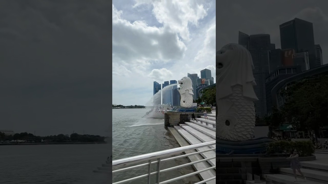 のぼ夫婦新婚旅行 vlog in シンガボール #シンガボール #新婚旅行 #vlog #ライフハック