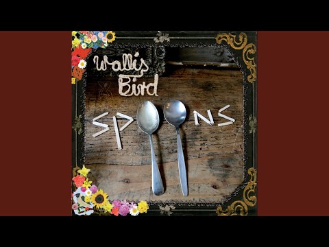Just Keep Going - Wallis Bird