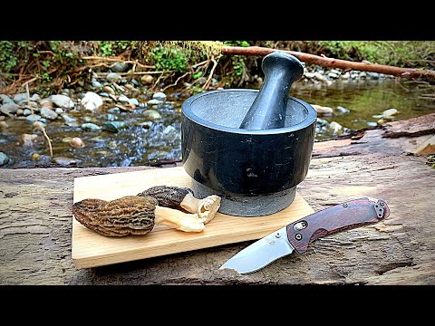 Morel Mushroom Forage & Cook | Shrooming 101