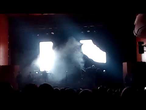 Shapiro Vandelli Love and Peace